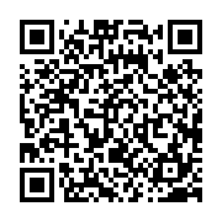 QR code for P60234
