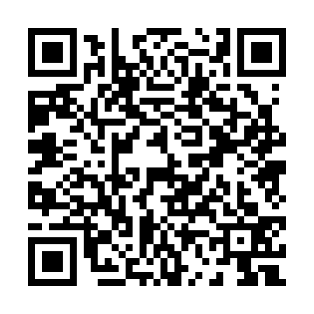QR code for P603332