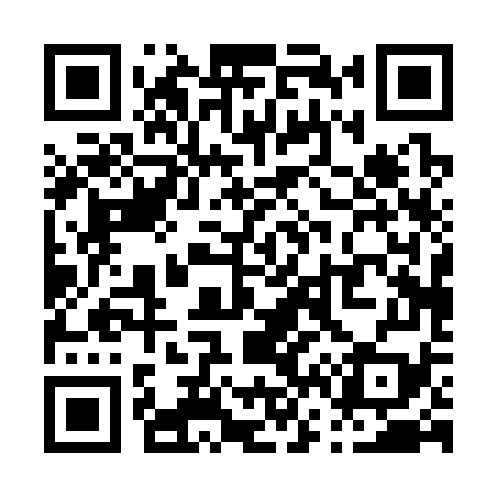 QR code for P60379