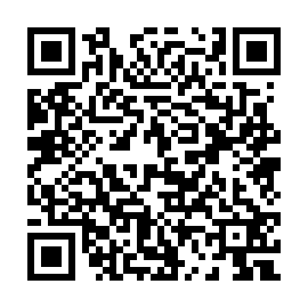 QR code for P607225