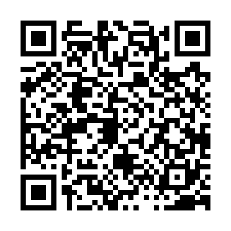 QR code for P607701