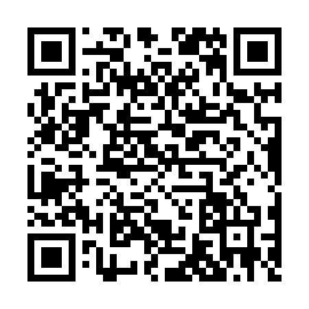 QR code for P608745