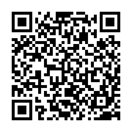 QR code for P61294