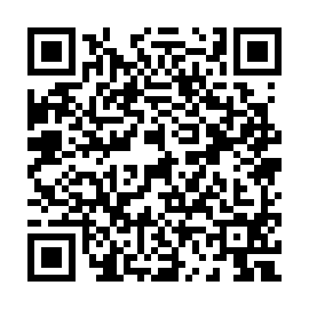 QR code for P613949