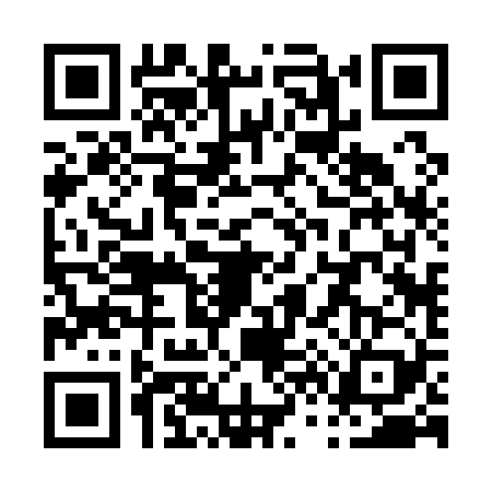 QR code for P621296