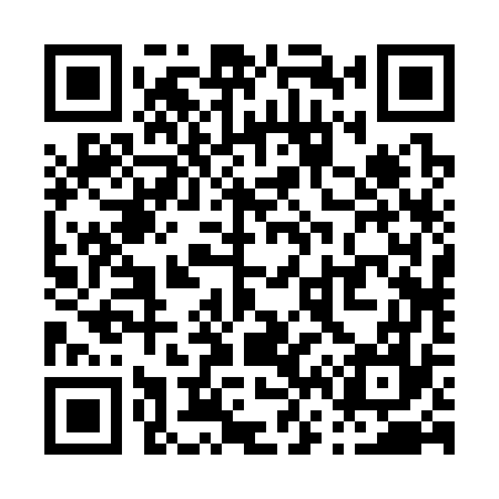 QR code for P62377
