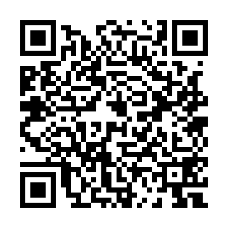 QR code for P631581