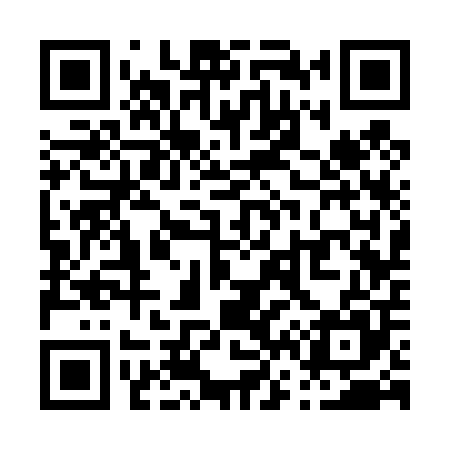 QR code for P63405
