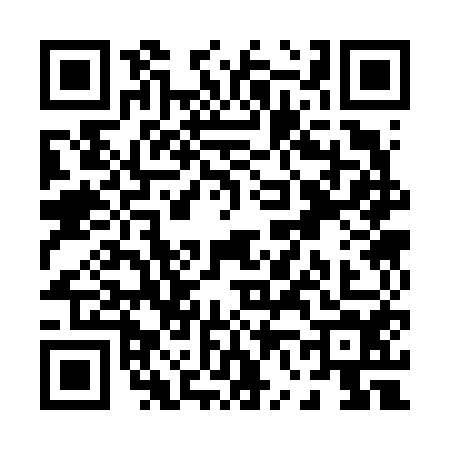 QR code for P636543