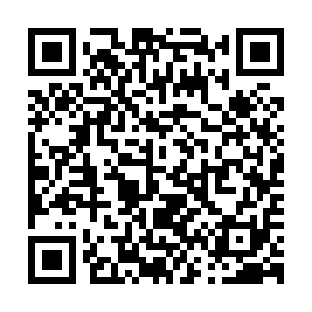 QR code for P63811