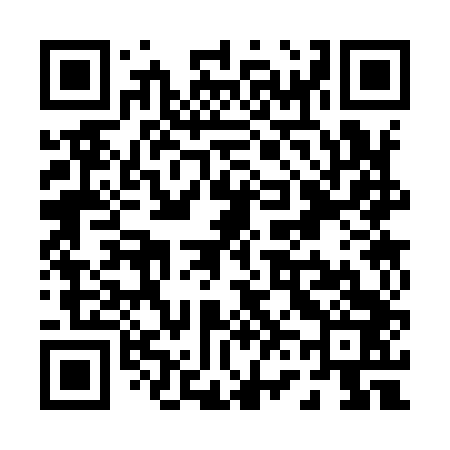 QR code for P63943