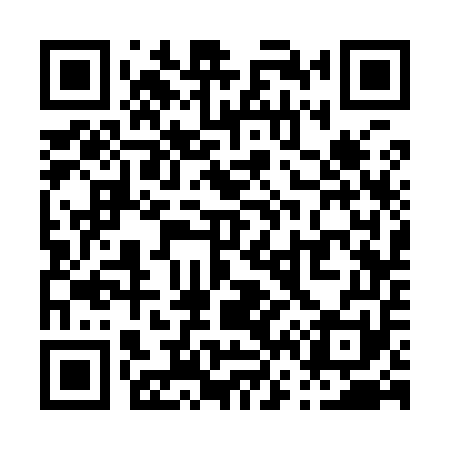 QR code for P63951