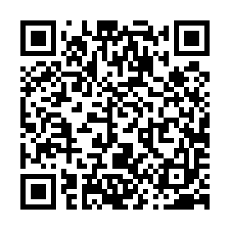 QR code for P64593