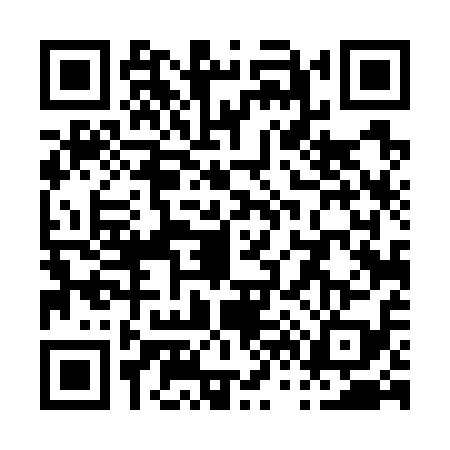 QR code for P647193