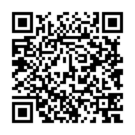QR code for P648383
