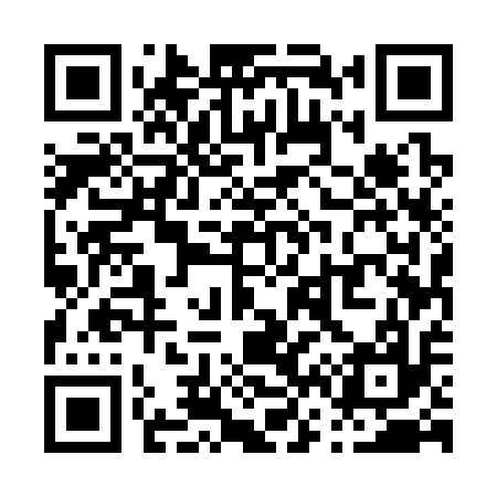 QR code for P65317
