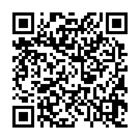 QR code for P65336