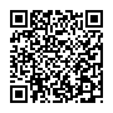QR code for P656455