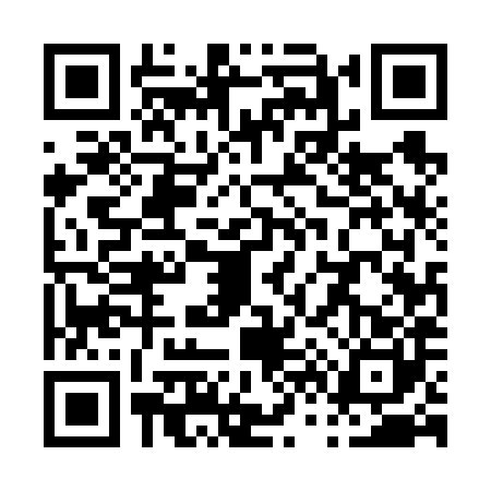 QR code for P656803