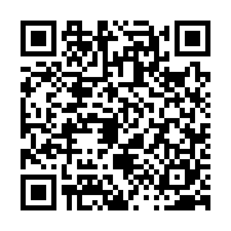 QR code for P663655
