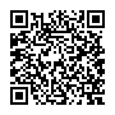 QR code for P665173