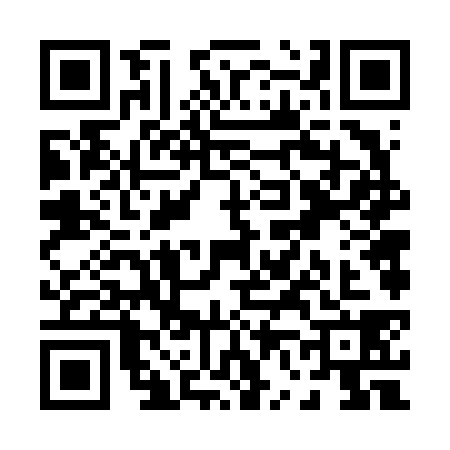 QR code for P666382