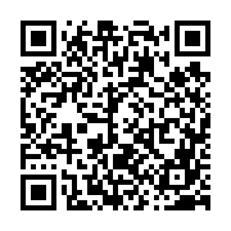 QR code for P66666