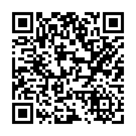QR code for P66956