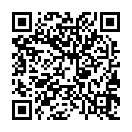 QR code for P67217