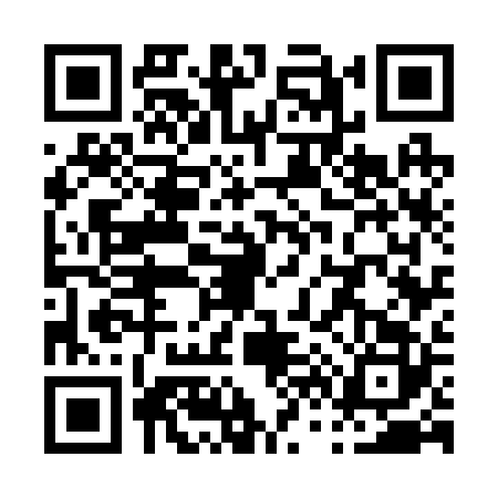 QR code for P672228
