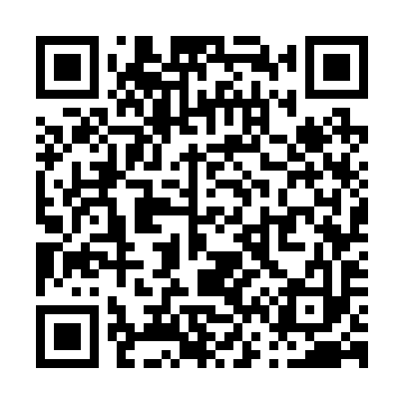 QR code for P67293