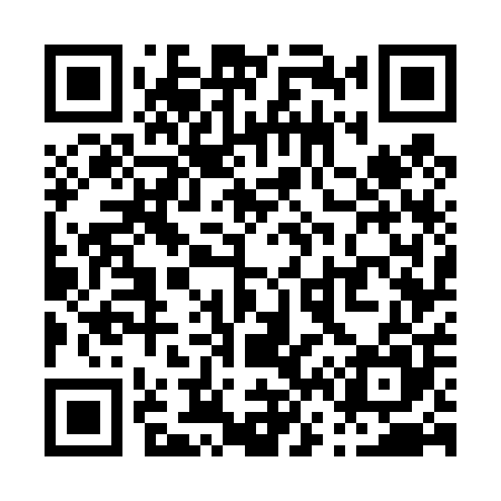 QR code for P67405