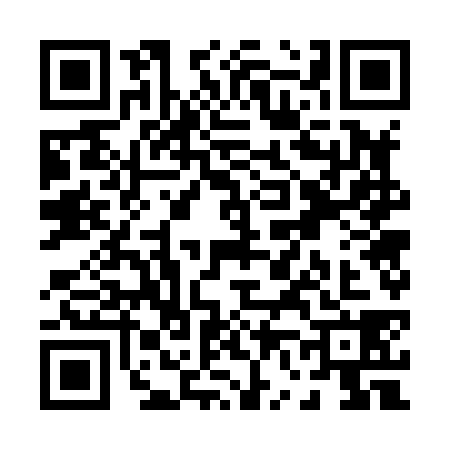 QR code for P678387
