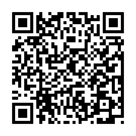 QR code for P678425