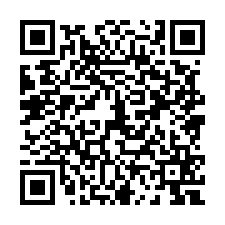 QR code for P685653