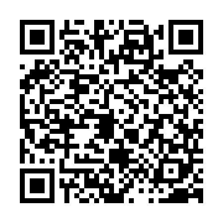 QR code for P690485