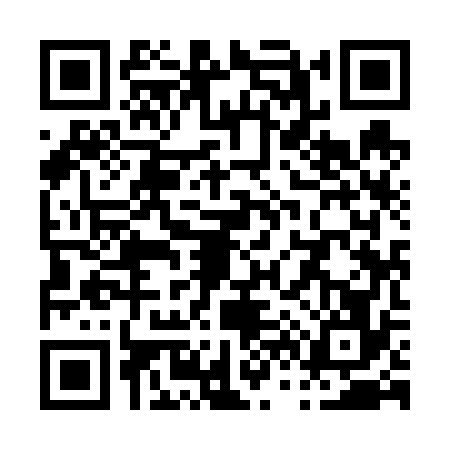 QR code for P696768