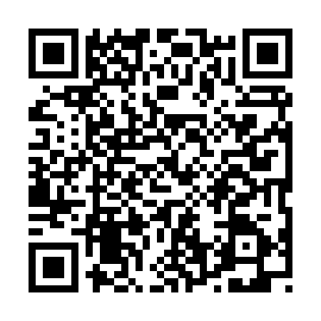 QR code for P698250
