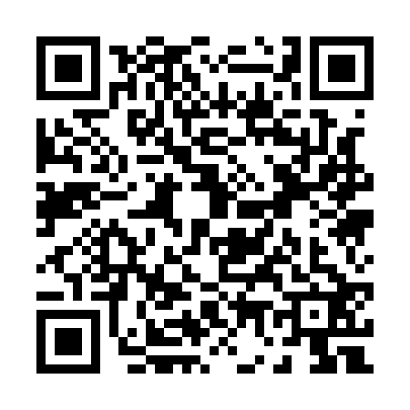 QR code for P711225
