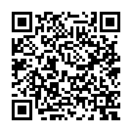 QR code for P711369