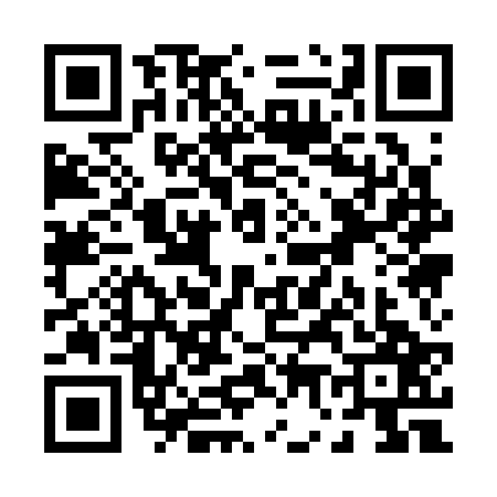 QR code for P713276
