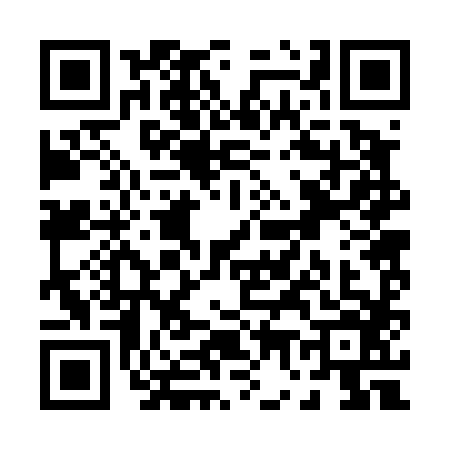 QR code for P724869
