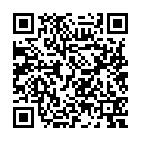 QR code for P729334