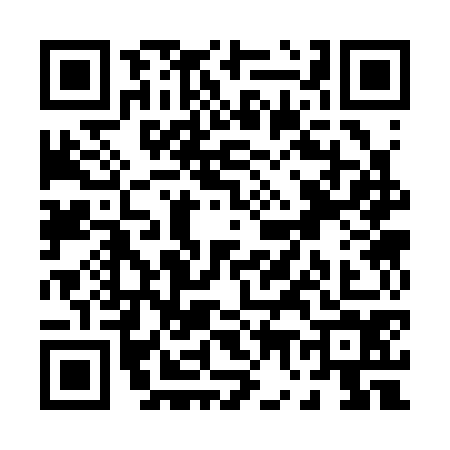 QR code for P733742