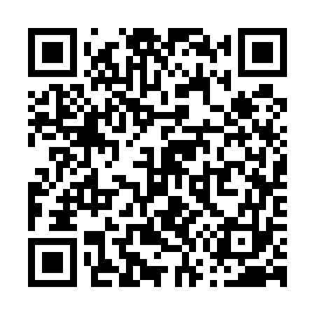 QR code for P73573