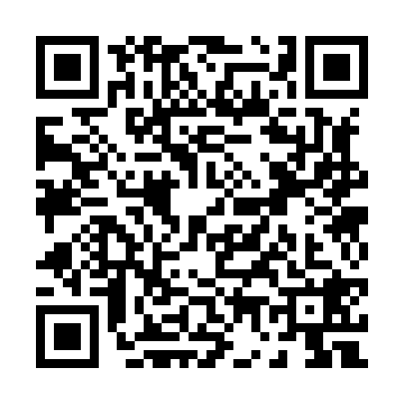 QR code for P738285