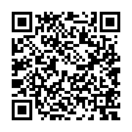 QR code for P747085