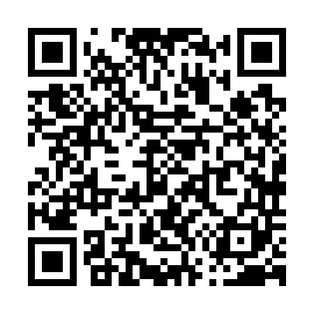 QR code for P78741