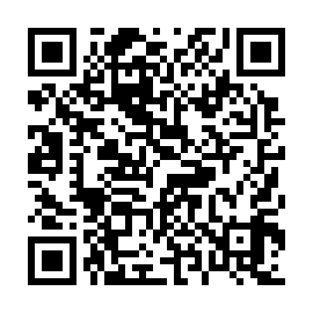 QR code for P80319