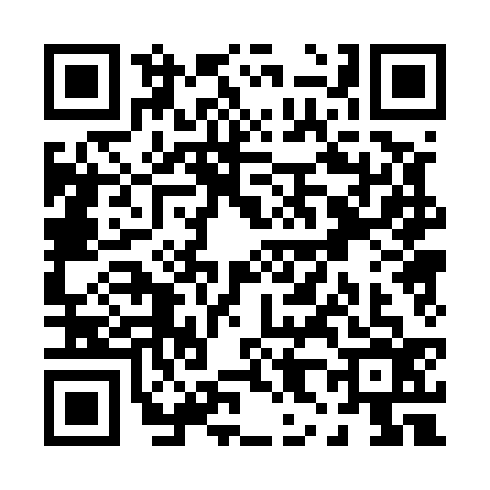 QR code for P805366
